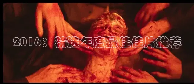 南瓜影视安卓版app